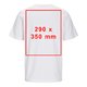 Hvid bomulds T-shirt med korte rmer og rund hals, unisex snit.