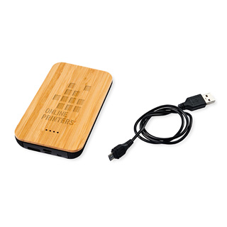 Ttrdls powerbank Future